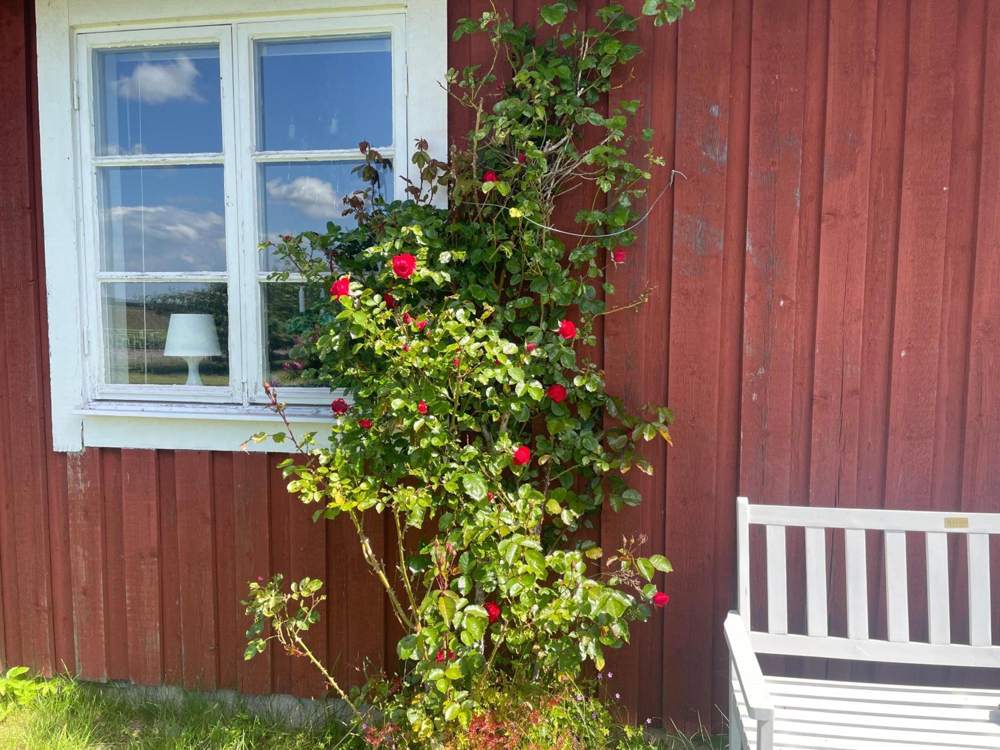 Kapelludden Oestra Oeland Villa Kopingsvik Bagian luar foto